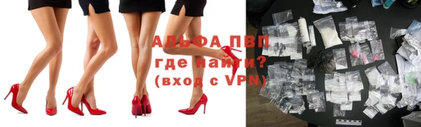 ПСИЛОЦИБИНОВЫЕ ГРИБЫ Заволжье