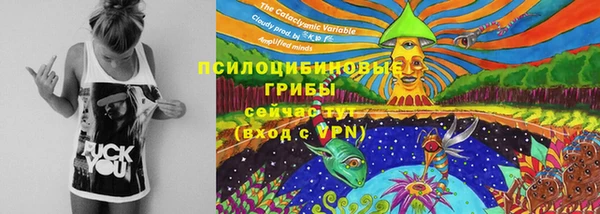 кокаин перу Заводоуковск