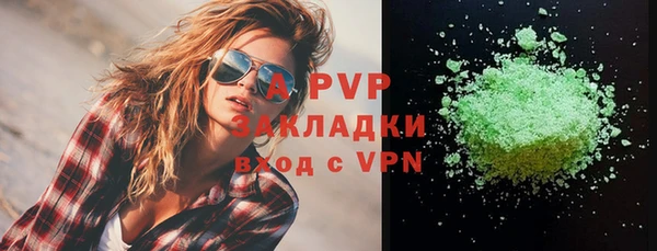 ПСИЛОЦИБИНОВЫЕ ГРИБЫ Заволжье