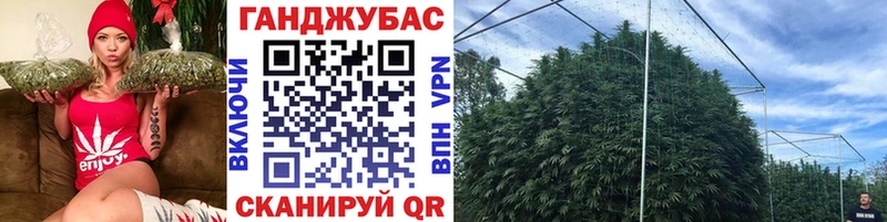 Бошки Шишки семена  Купить  Кинель 